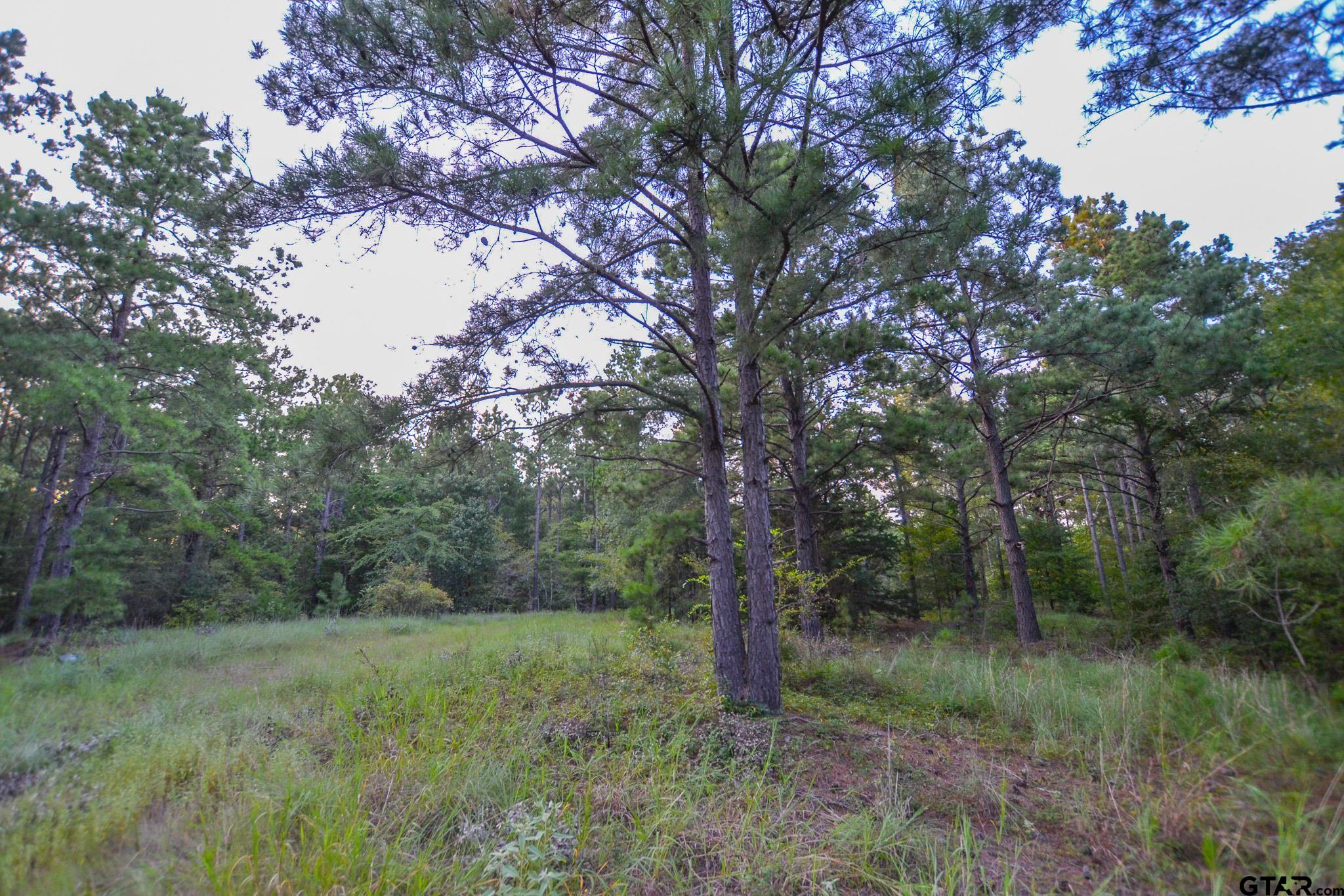 1 State Highway 155 Tyler, TX 75703 - Photo 15 of 21