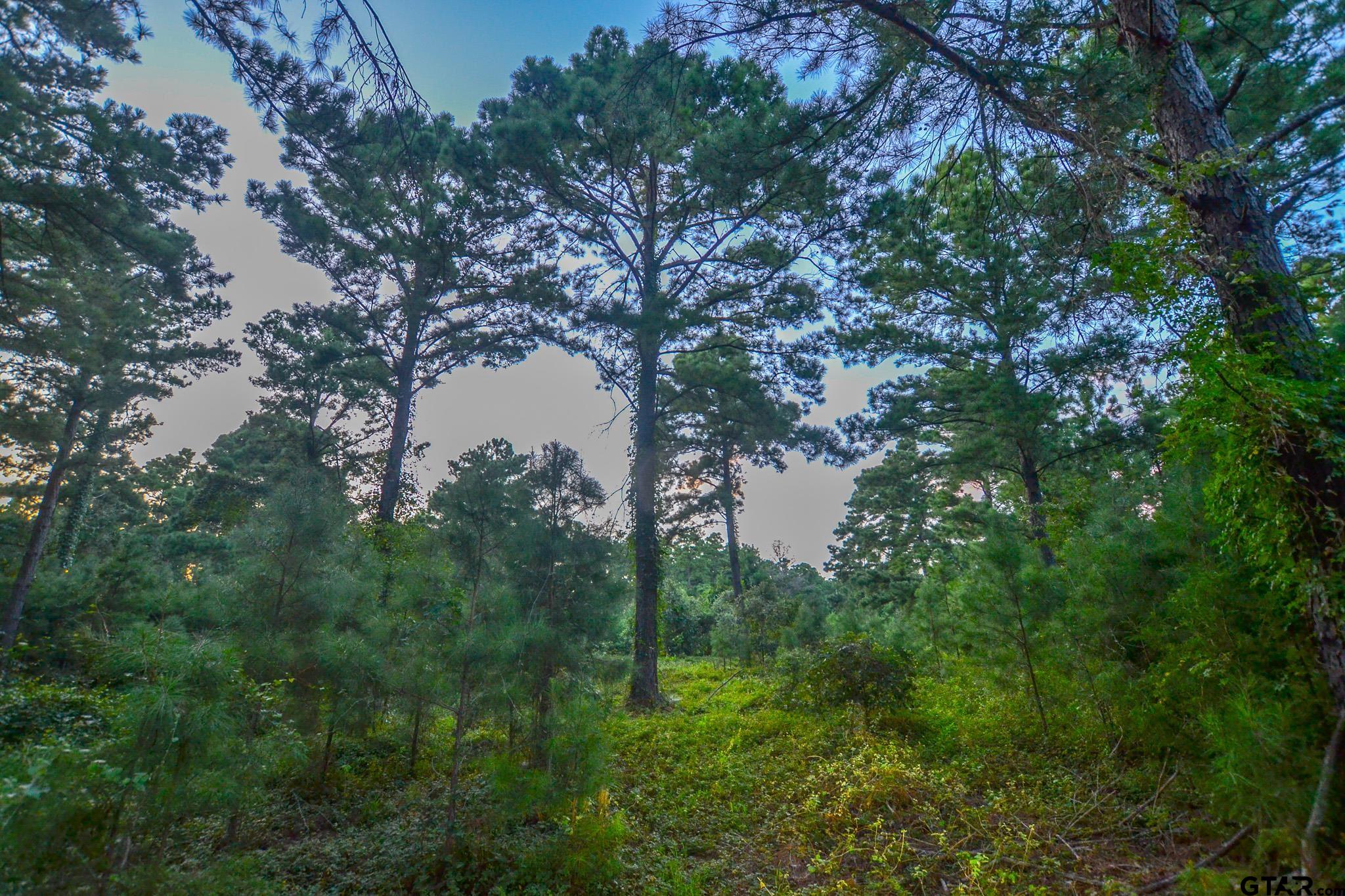 1 State Highway 155 Tyler, TX 75703 - Photo 16 of 21