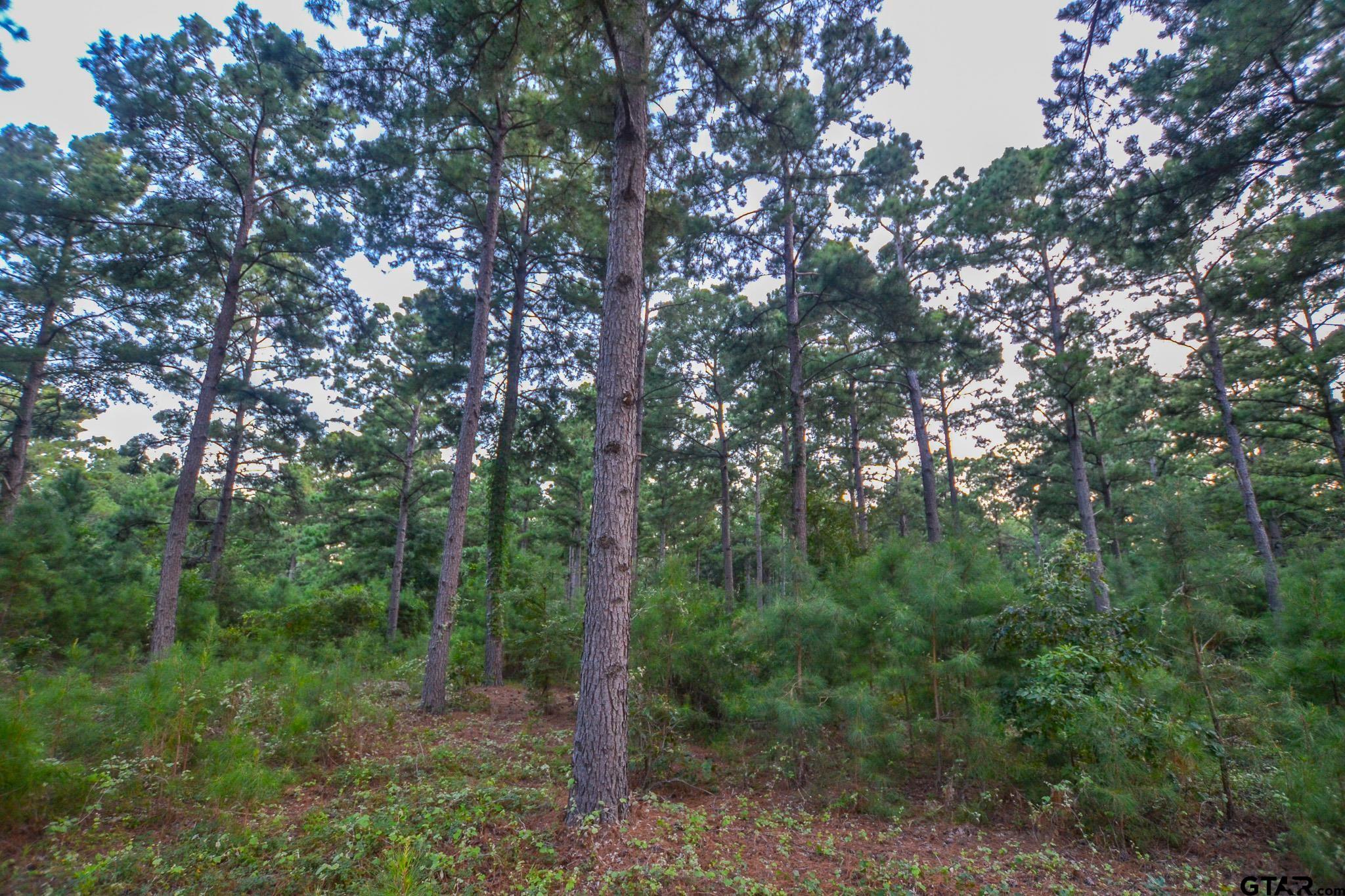 1 State Highway 155 Tyler, TX 75703 - Photo 17 of 21