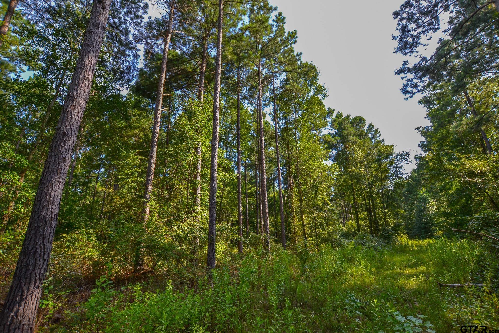 1 State Highway 155 Tyler, TX 75703 - Photo 7 of 21