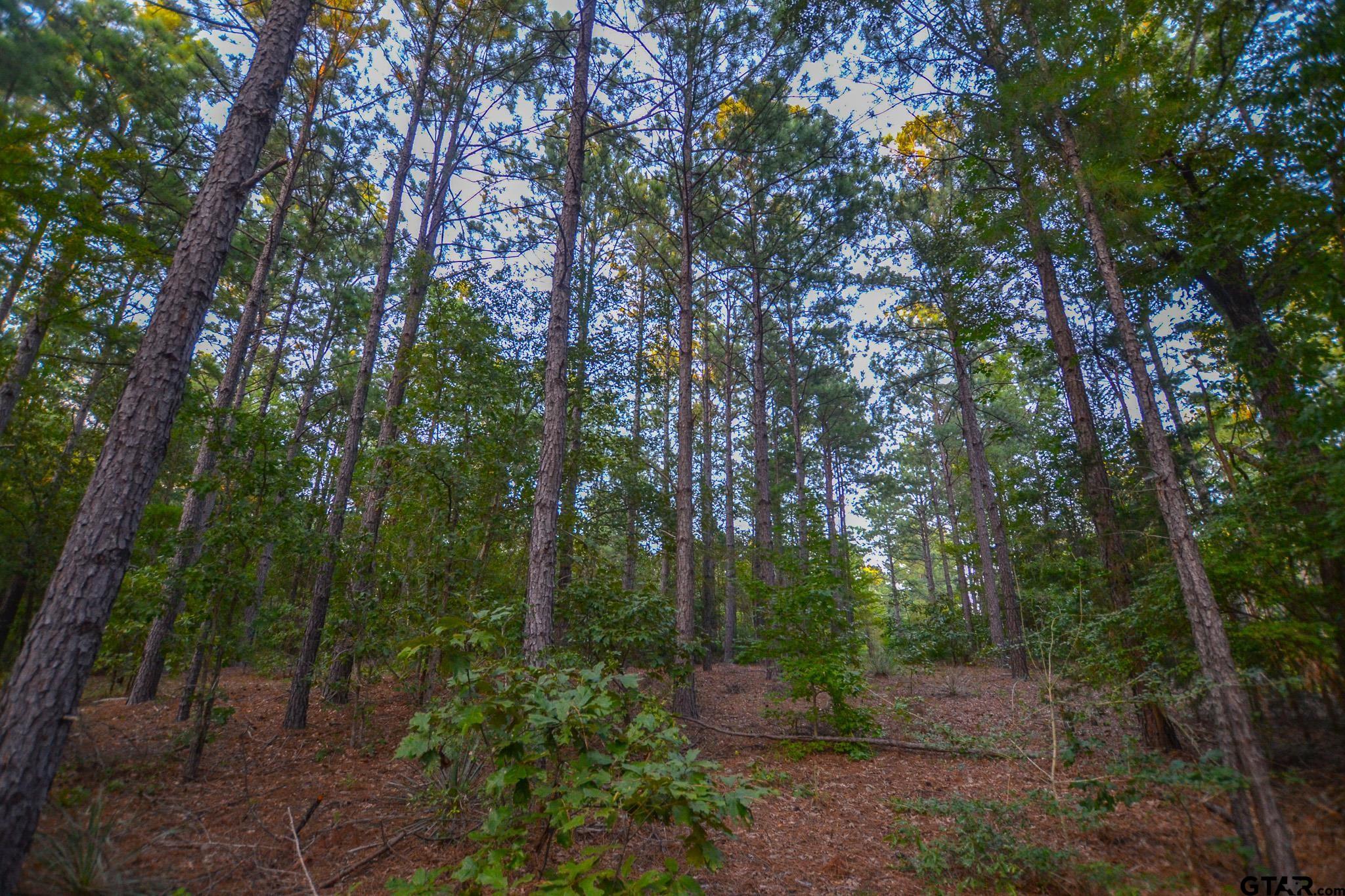 1 State Highway 155 Tyler, TX 75703 - Photo 8 of 21