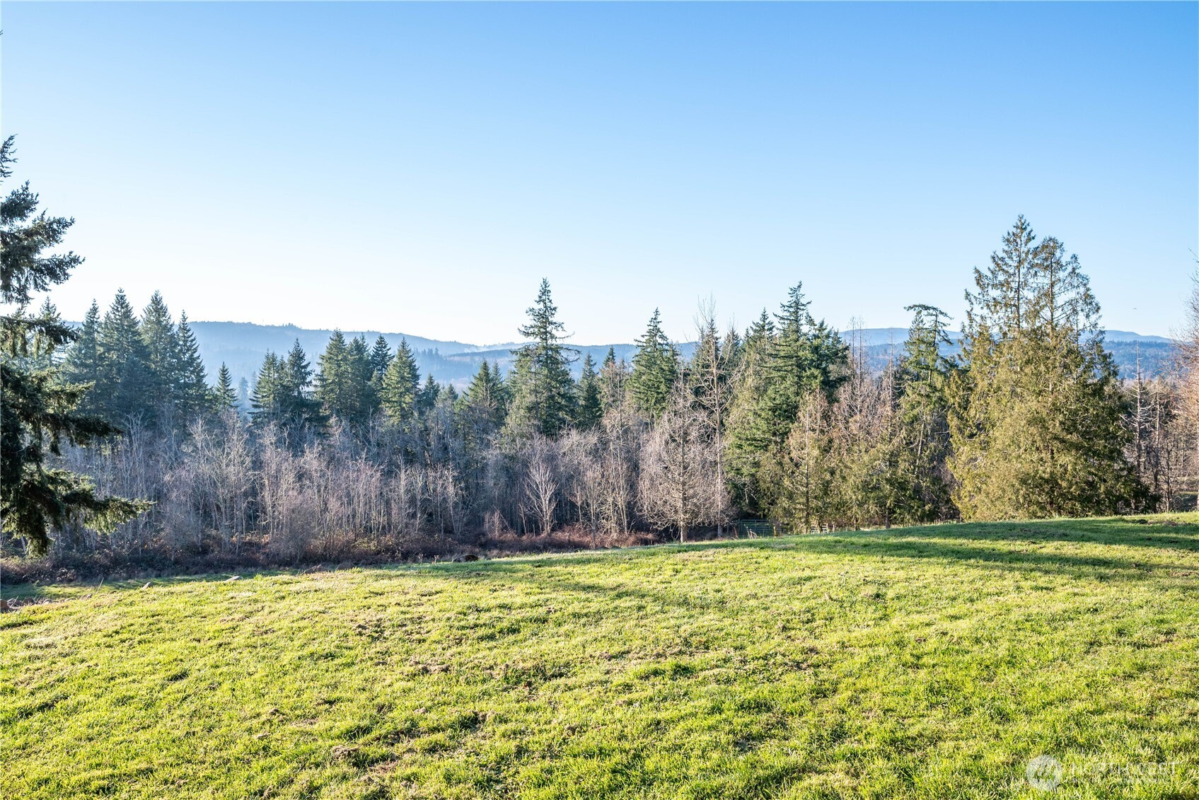 276 Alpenridge Road Kelso, WA 98626 - Photo 23 of 40