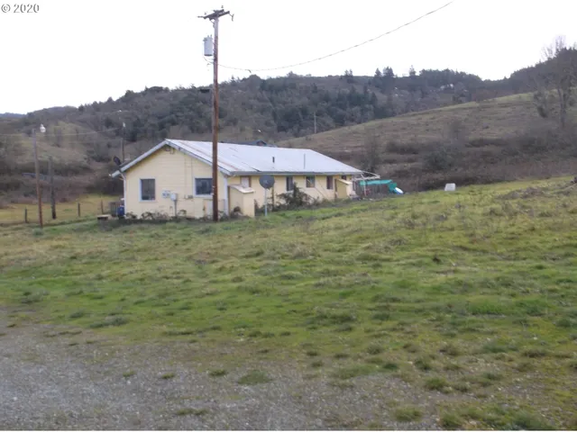 a view of a field with a tree in it