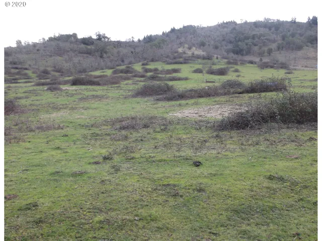 a black and white photo of a lake