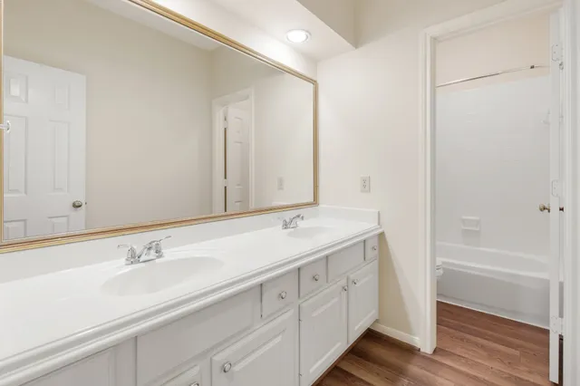 a tree in a yard covered with tall trees