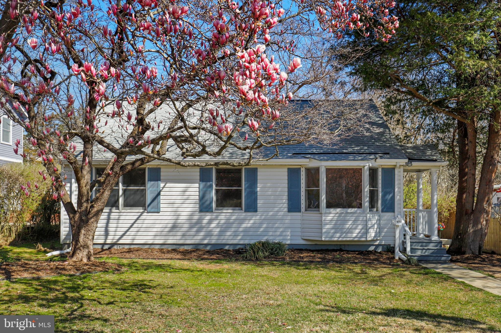 a view of a house with a large tree and a yard