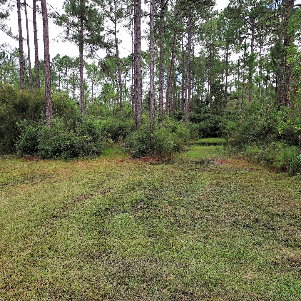 124 Cora Mae Road Carrabelle, FL 32322 - Photo 31 of 33 Gallery Image 31