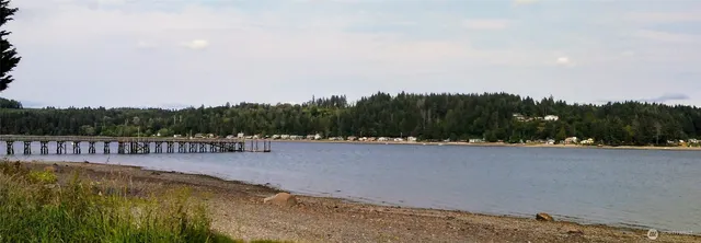 a view of a swimming pool and trees in the background