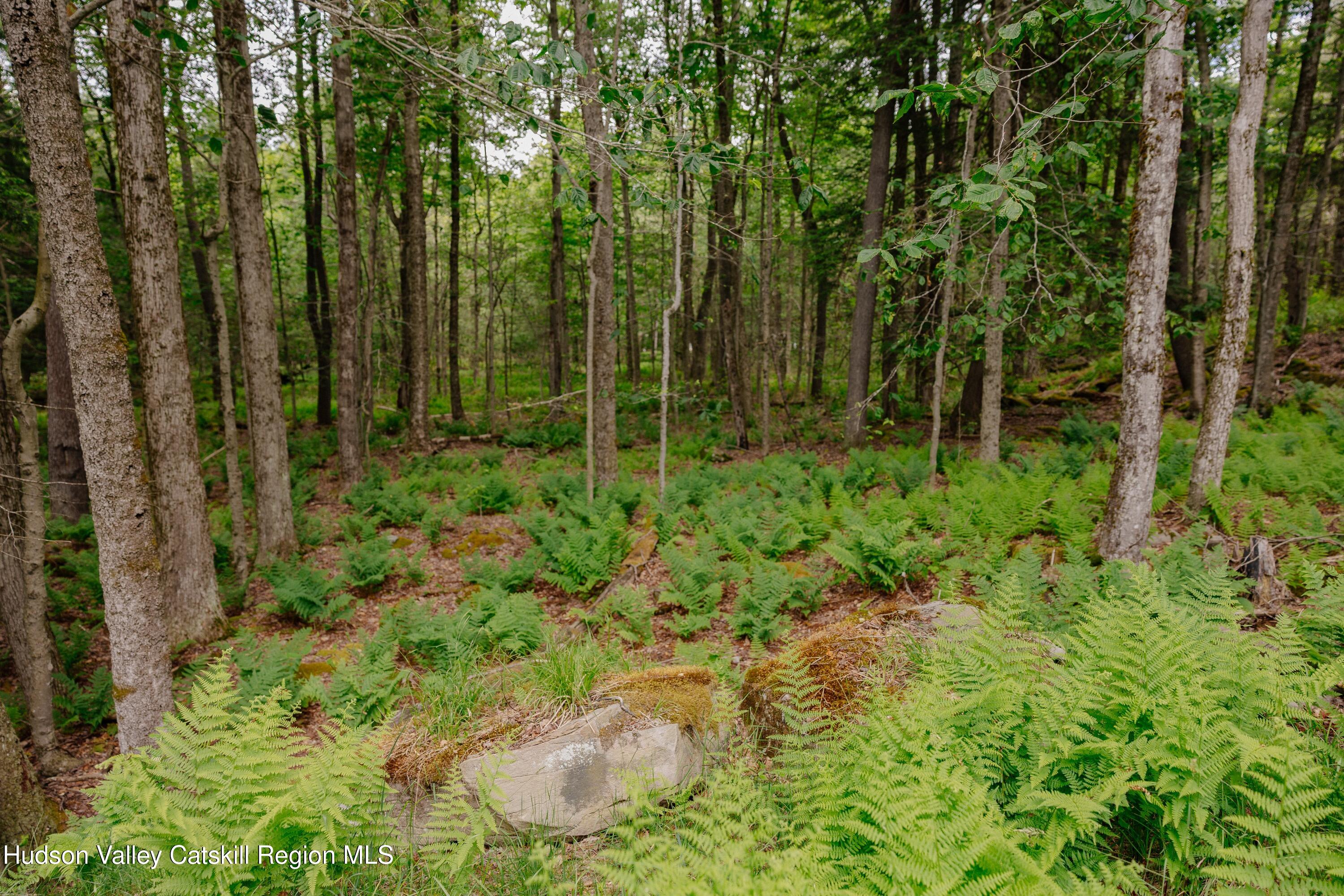 Tbd Church Lake Road Livingston Manor, NY 12758 - Photo 22 of 33 shandelee-woods-thatupstateagent-1-22