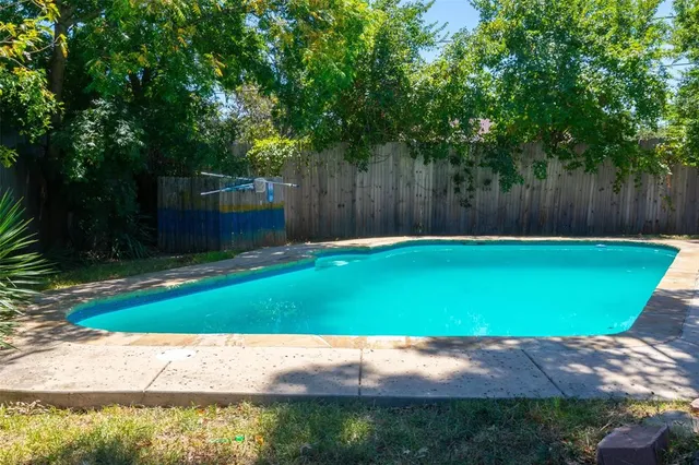 a view of a backyard with large trees and plants