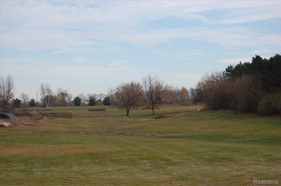 rear yard