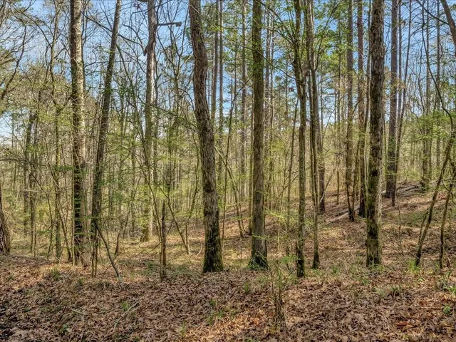 $445,000 | 0 County Road 273, Garrison, TX 75946