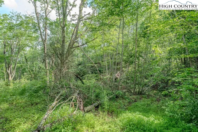 $259,000 | 876 Courtney Lane, Vilas, NC 28692