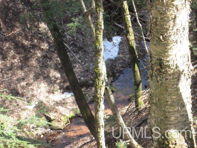 Tbd Golf Course Road Calumet, MI 49913 - Photo 9 of 21