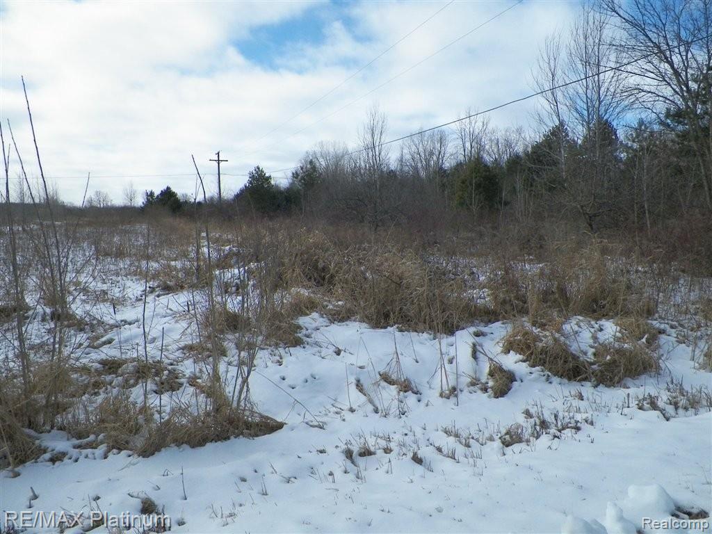 V/l West Willard Road Birch Run, MI 48415 - Photo 7 of 19 100_1478.JPG