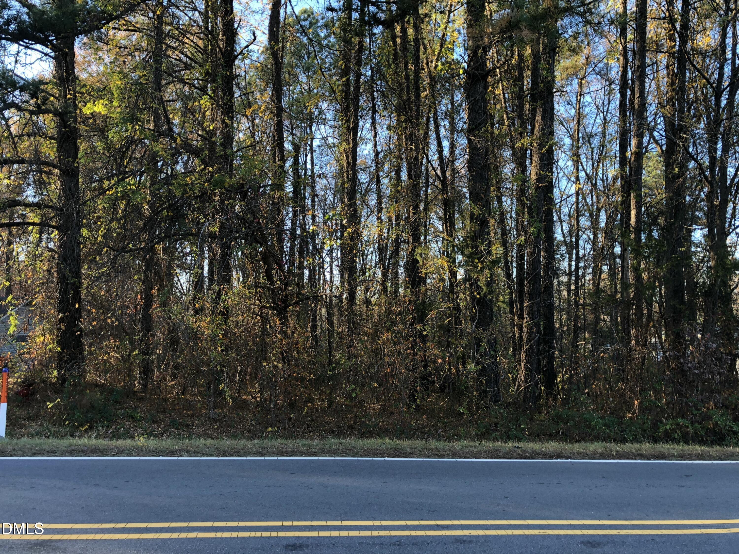 3927 Glenn Road Durham, NC 27704 - Photo 2 of 6 a view of yard