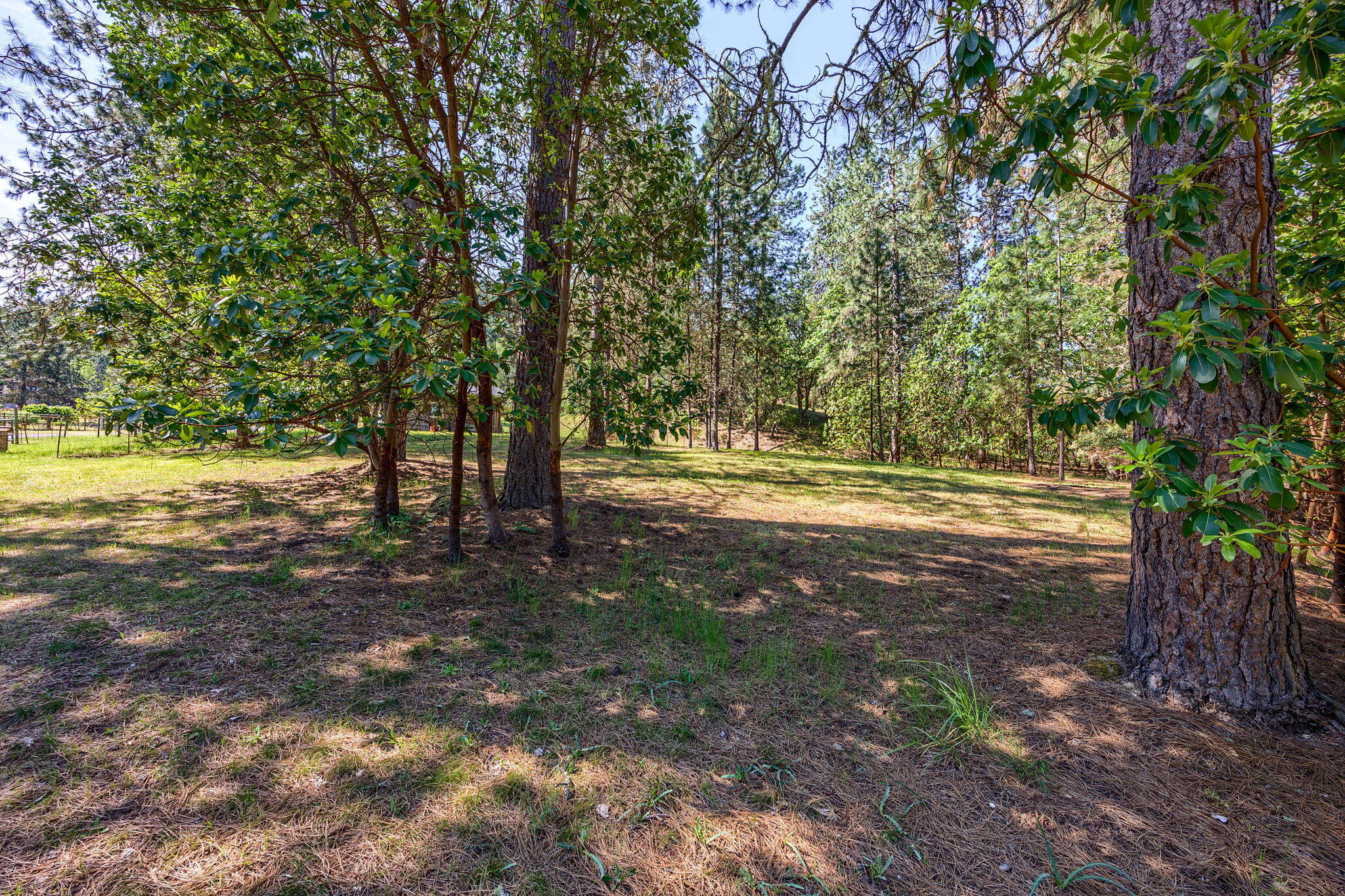 1455 Summit Loop Grants Pass, OR 97527 - Photo 50 of 53 ApxSL (22)