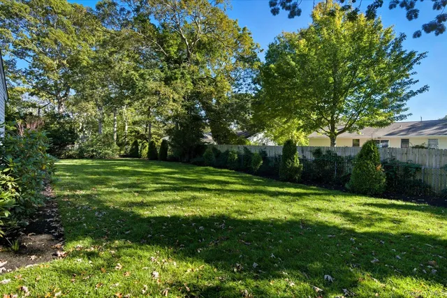 a view of a grassy field with trees