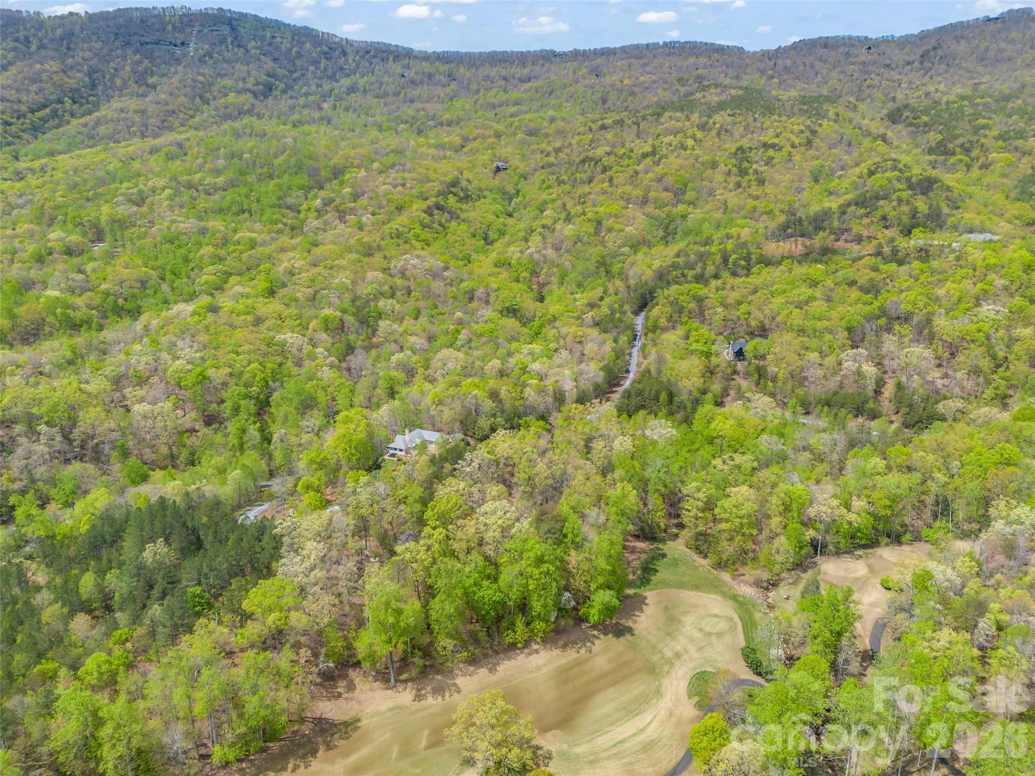 112 Deep Gap Farm Road East Mill Spring, NC 28756 - Photo 11 of 23