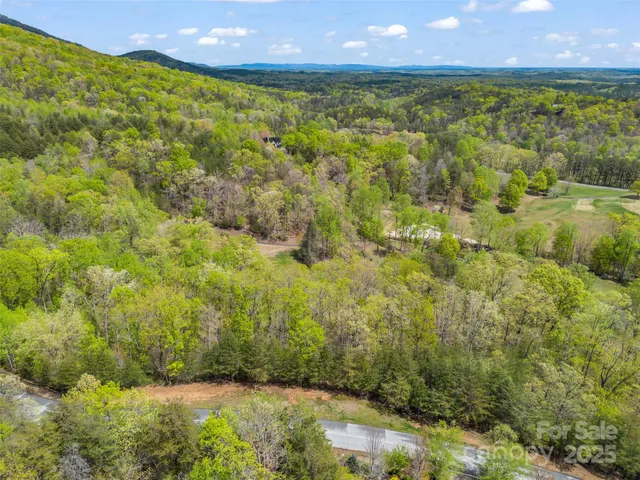 a view of a lush green field with a mountain in the background