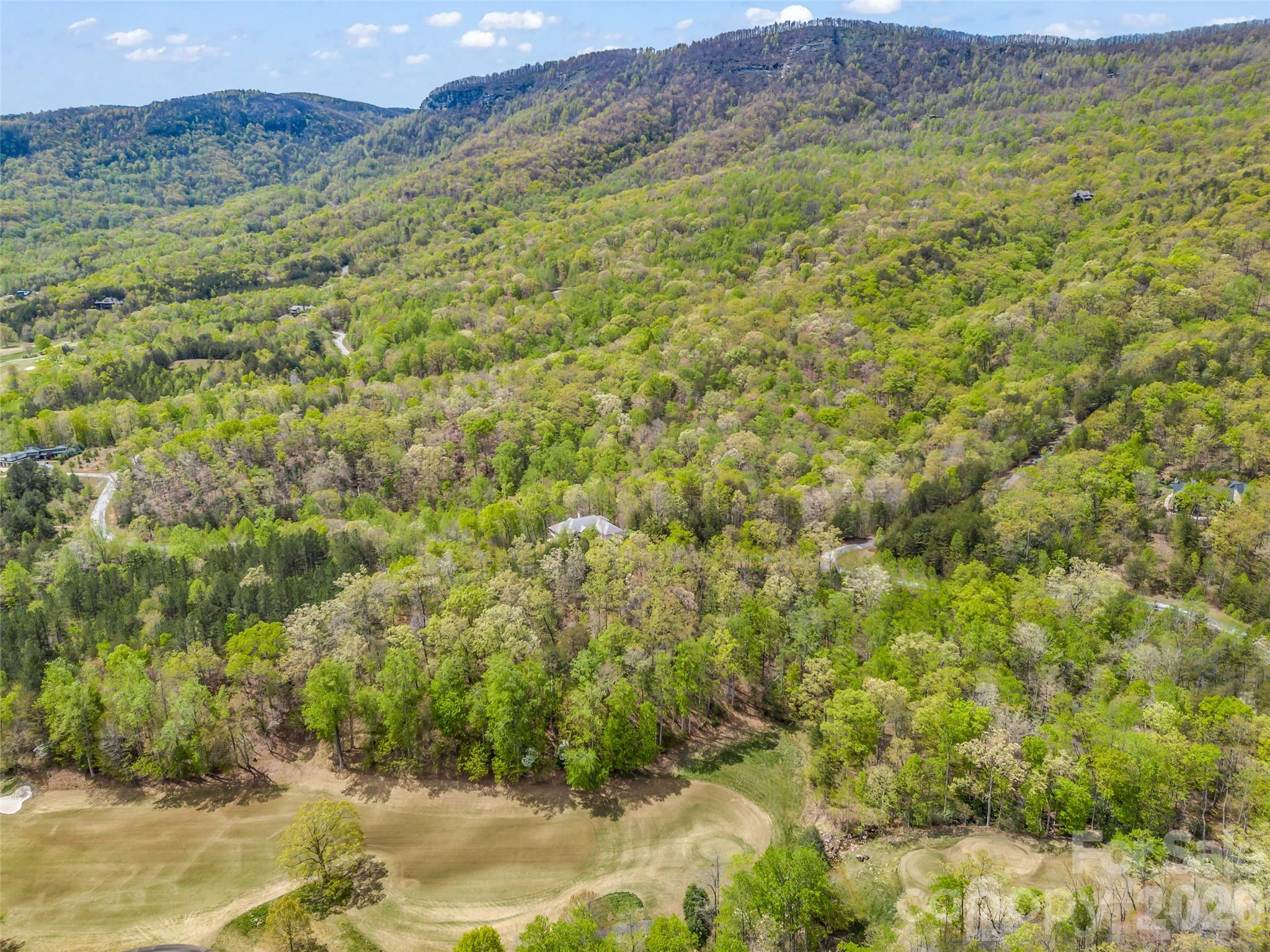 112 Deep Gap Farm Road East Mill Spring, NC 28756 - Photo 13 of 23