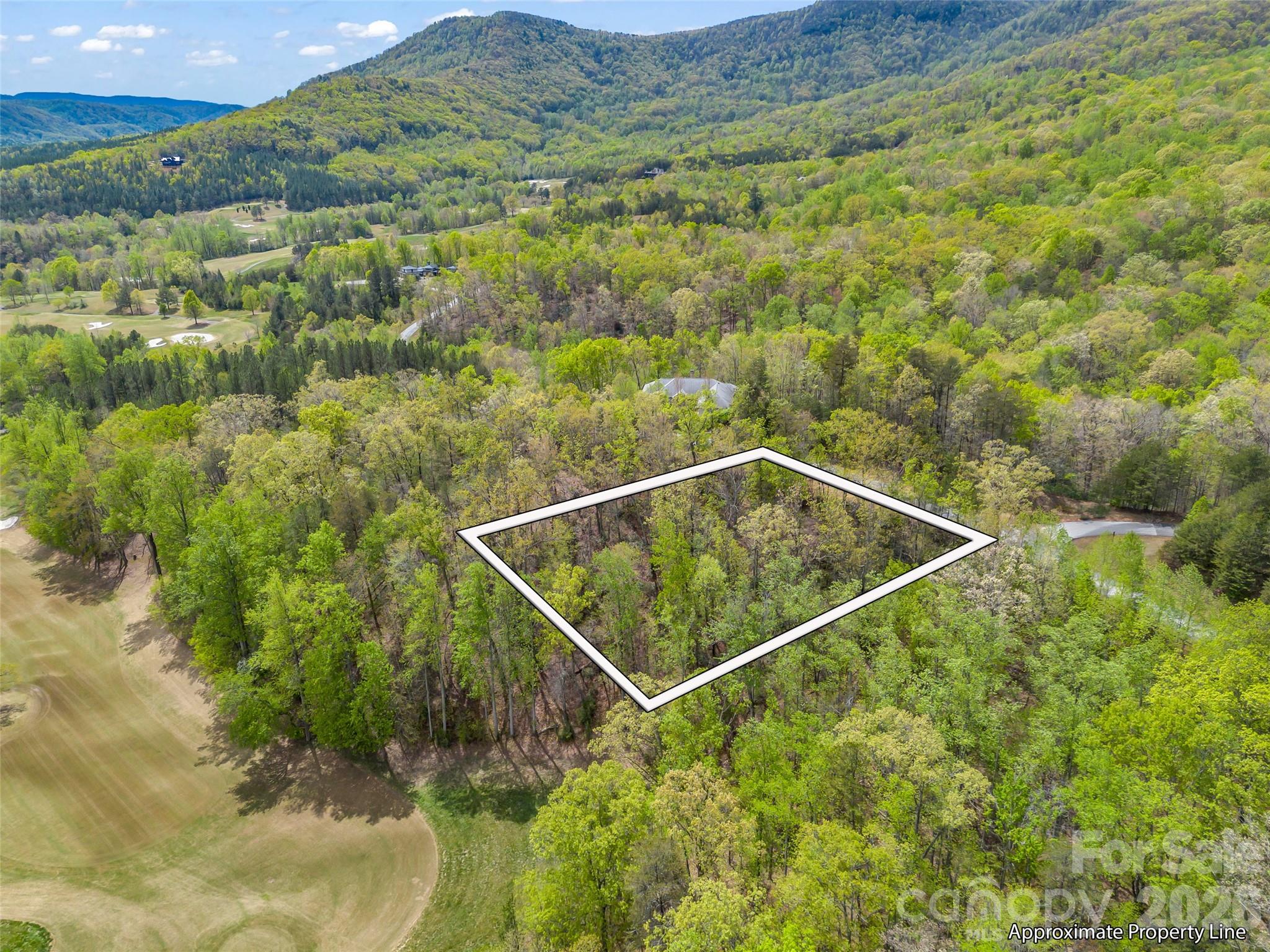 112 Deep Gap Farm Road East Mill Spring, NC 28756 - Photo 2 of 23