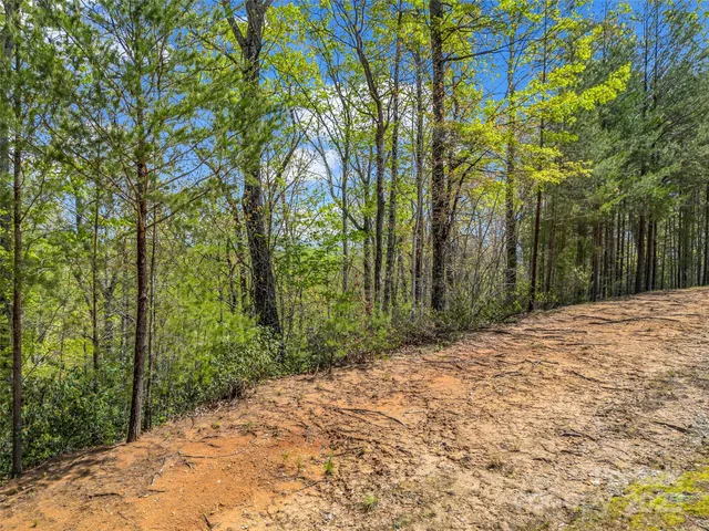 $99,000 | 112 Deep Gap Farm Road East, Mill Spring, NC 28756