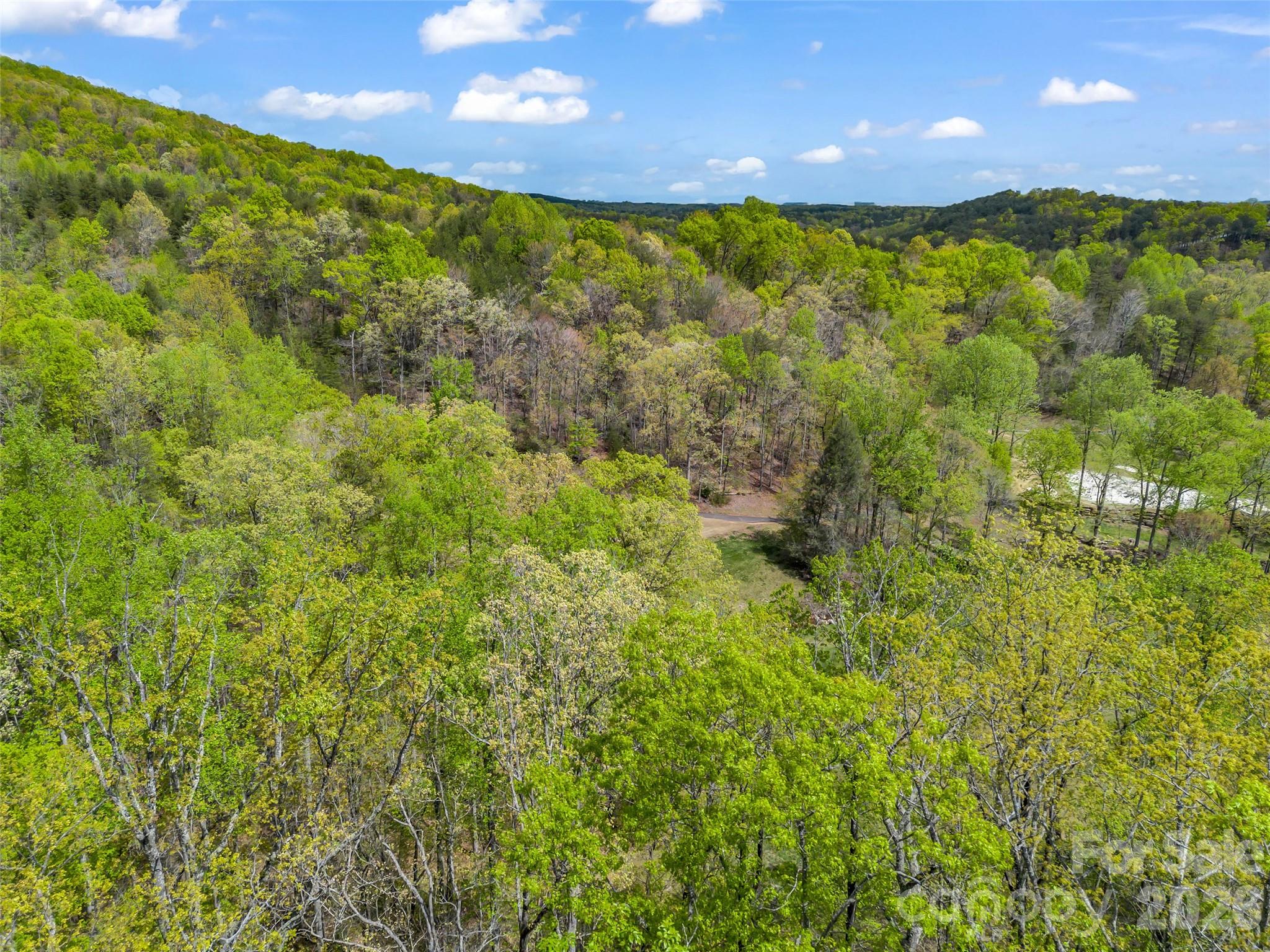 112 Deep Gap Farm Road East Mill Spring, NC 28756 - Photo 4 of 23
