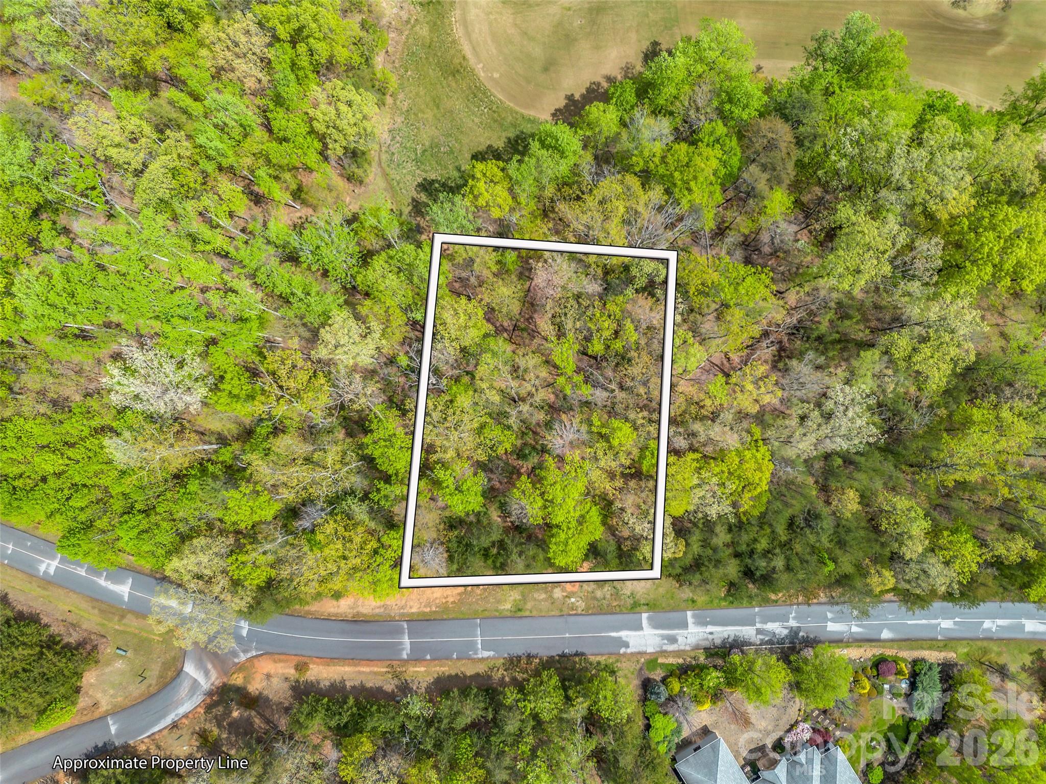 112 Deep Gap Farm Road East Mill Spring, NC 28756 - Photo 5 of 23