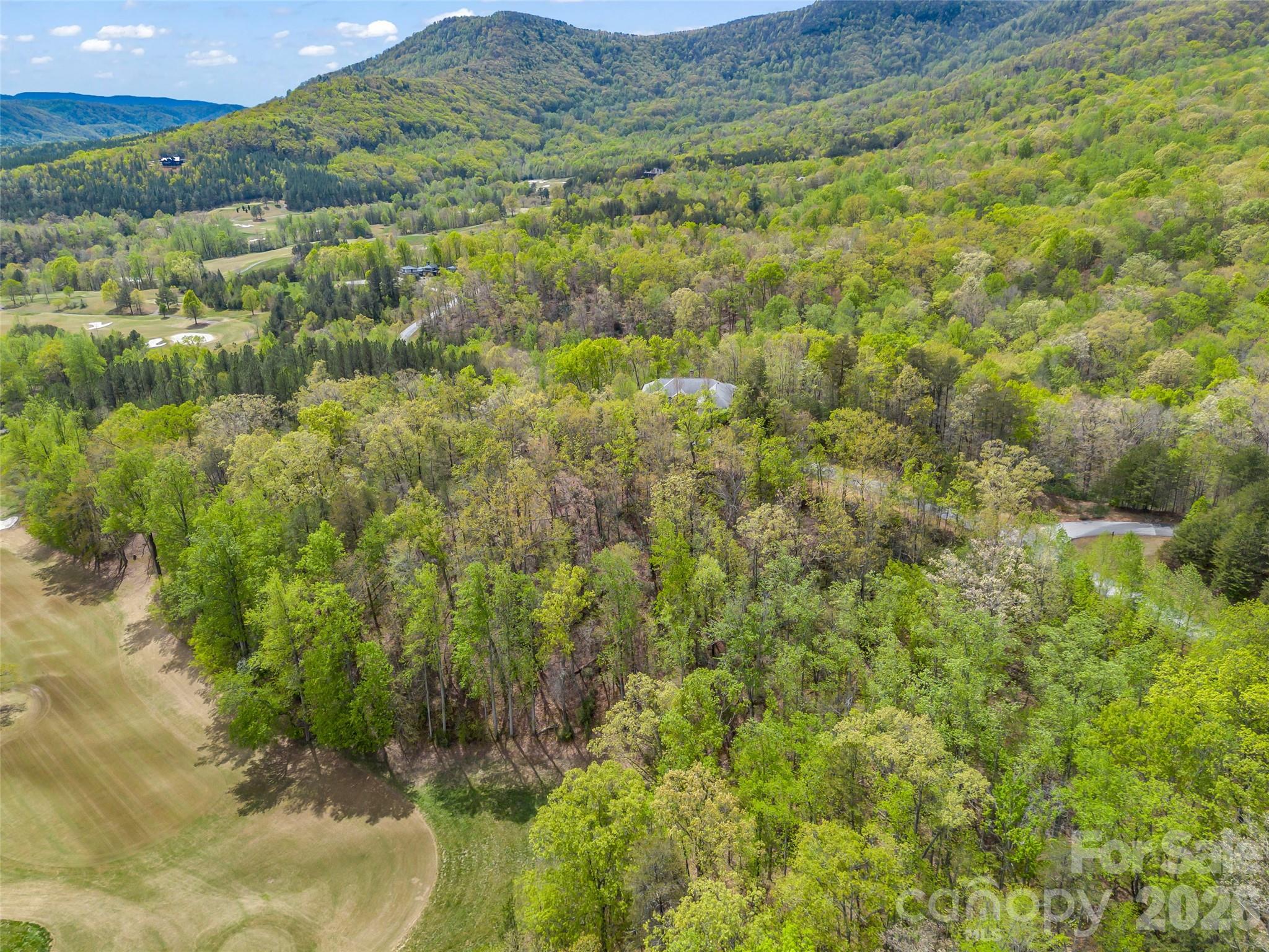 112 Deep Gap Farm Road East Mill Spring, NC 28756 - Photo 6 of 23
