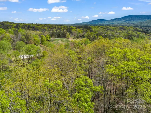 a view of an ocean from a yard
