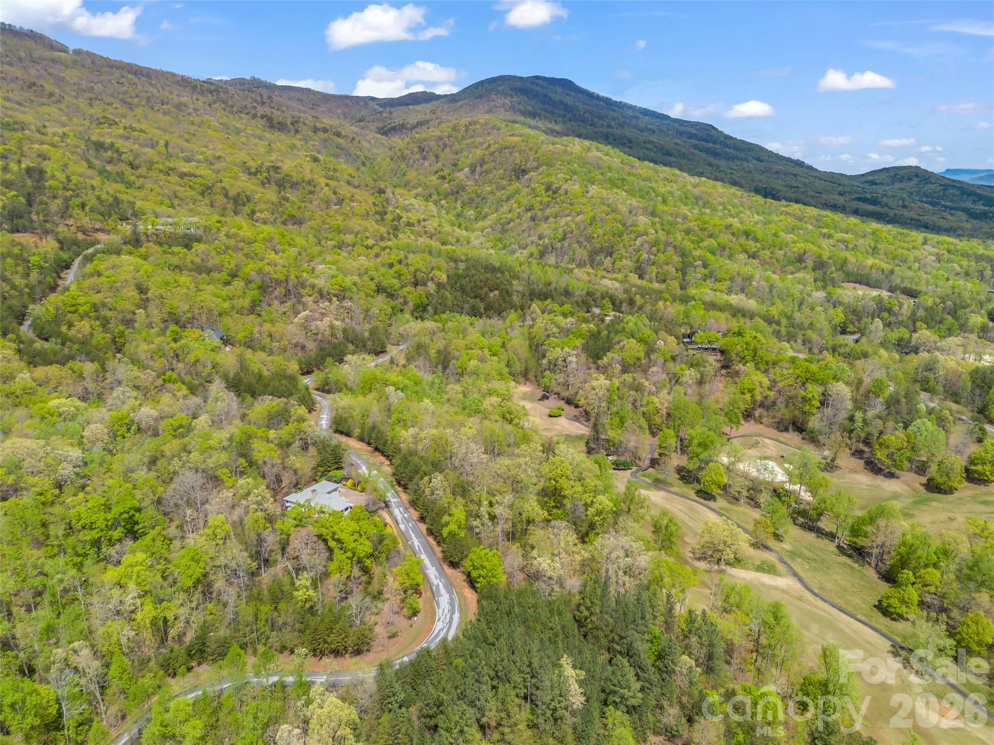 112 Deep Gap Farm Road East Mill Spring, NC 28756 - Photo 9 of 23