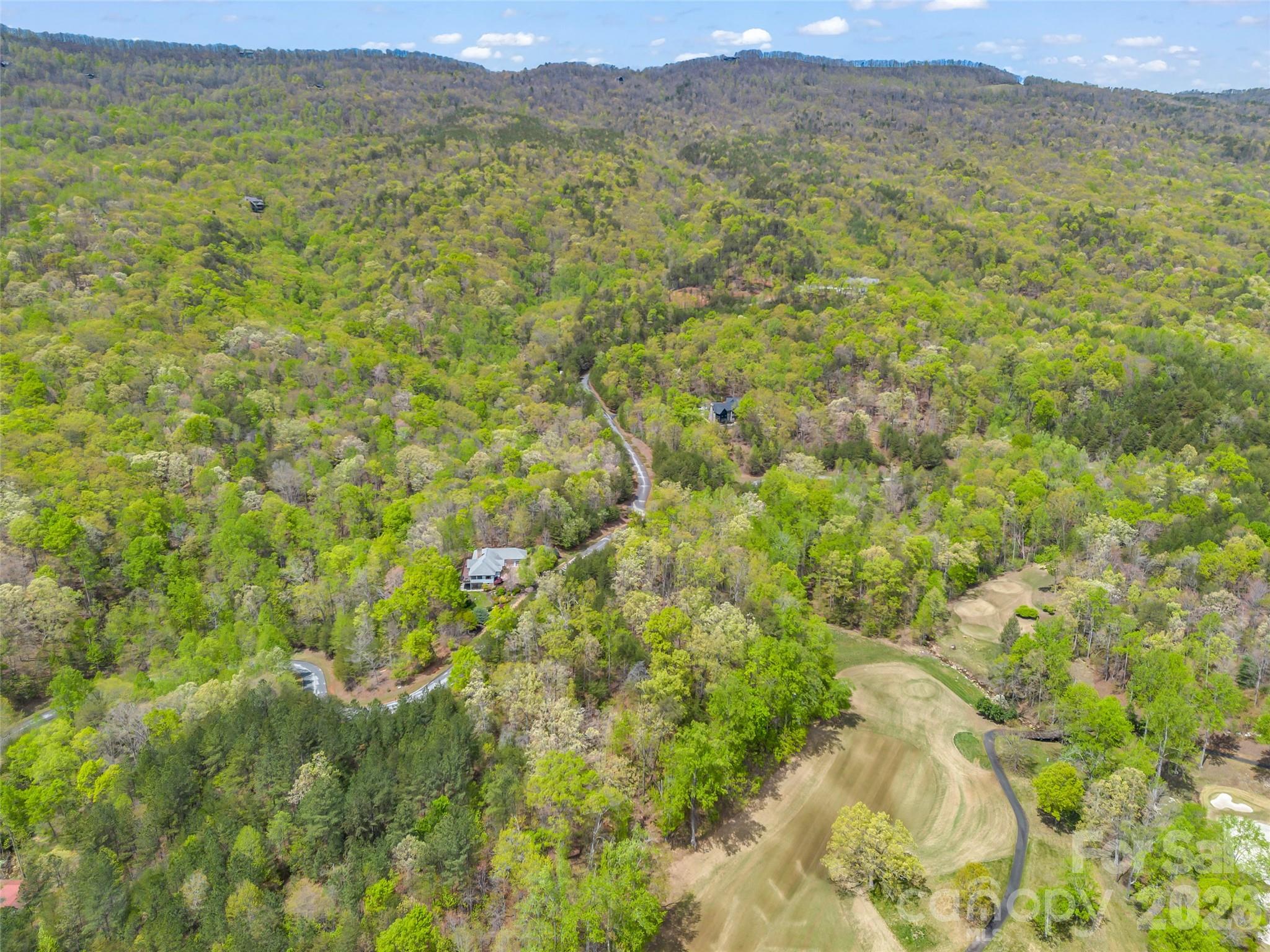 112 Deep Gap Farm Road East Mill Spring, NC 28756 - Photo 10 of 23