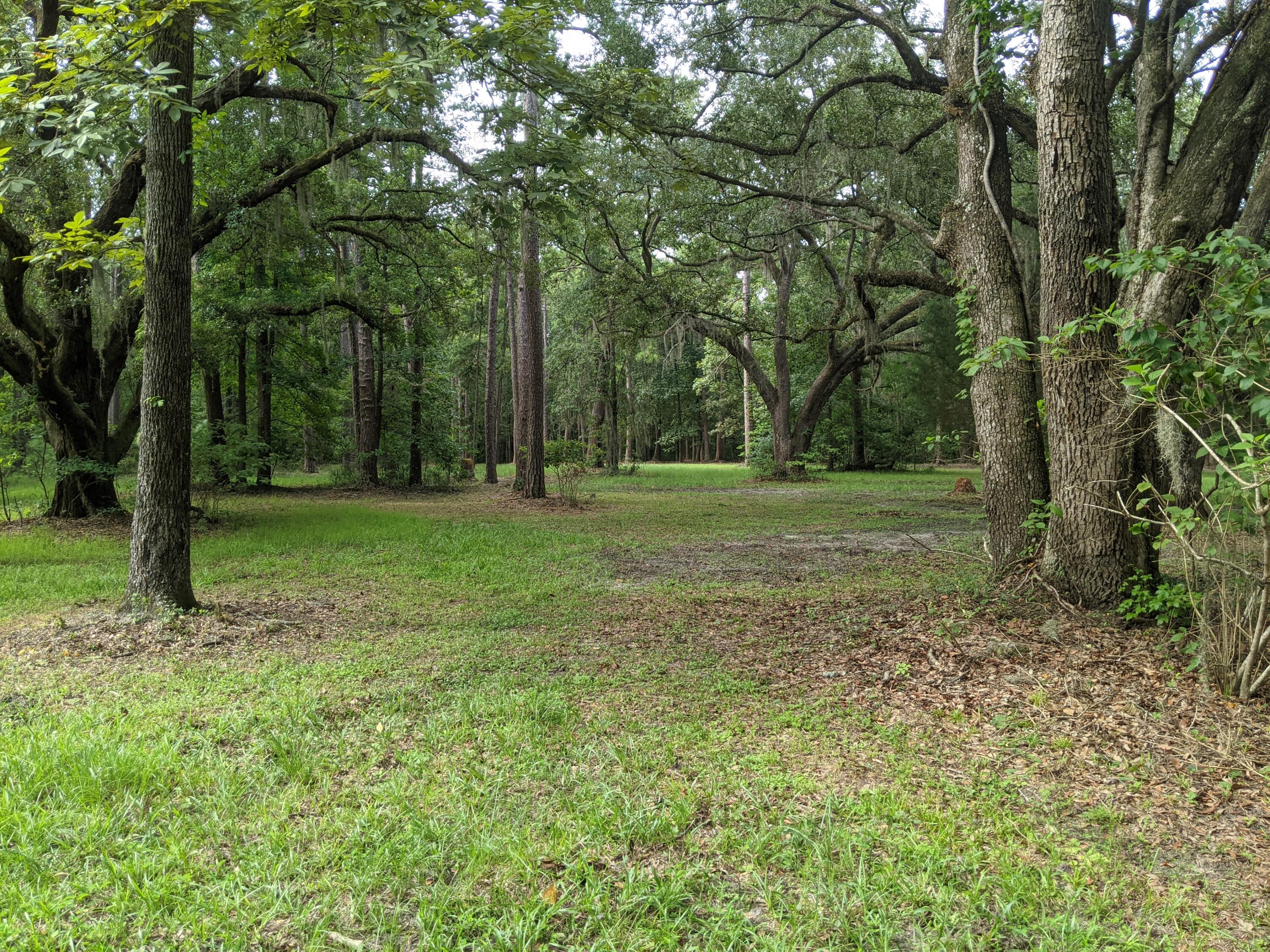 0 Little Britton Road Hollywood, SC 29449 - Photo 3 of 55 PXL_20220818_142215838