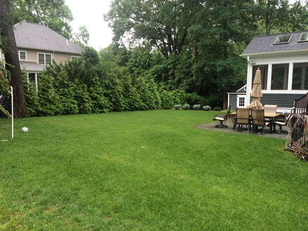36 Rae Avenue Needham, MA 02492 - Photo 9 of 12 a view of a house with a backyard