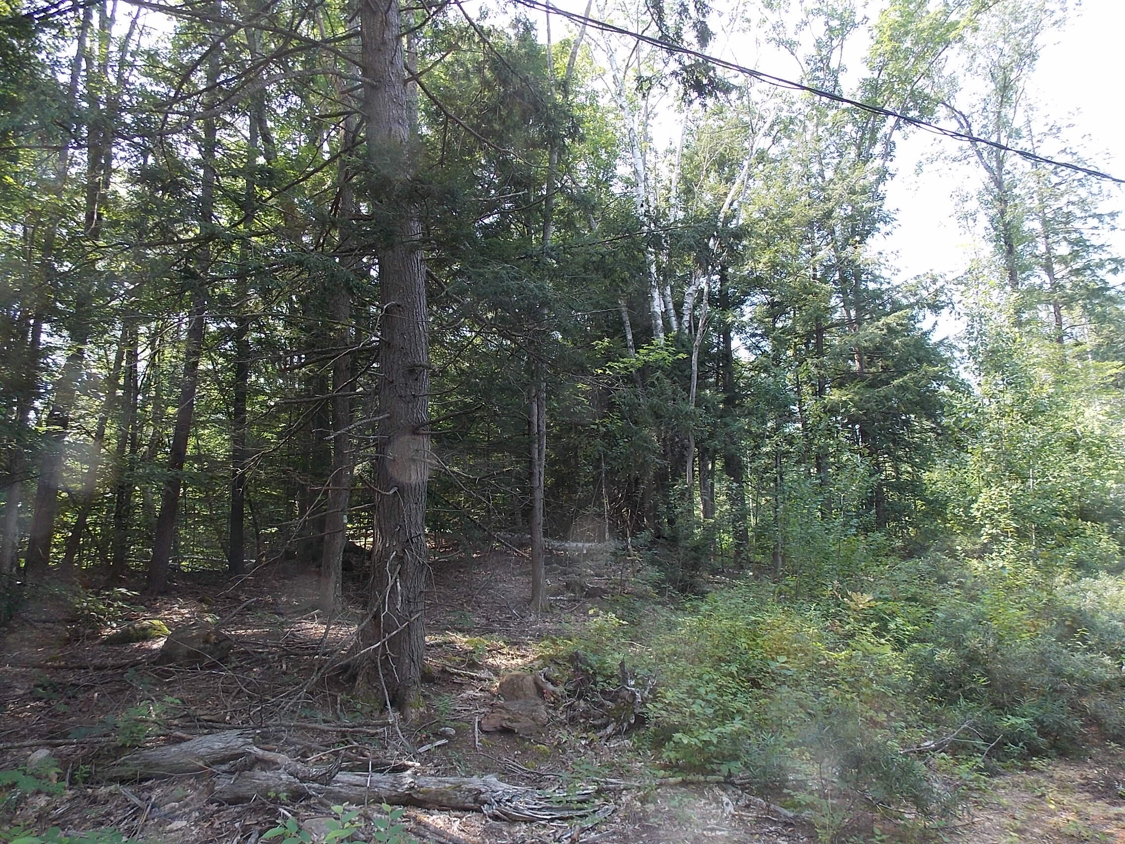 0 Walnut Brook Road Sanford, ME 04073 - Photo 2 of 19 DSCN9515