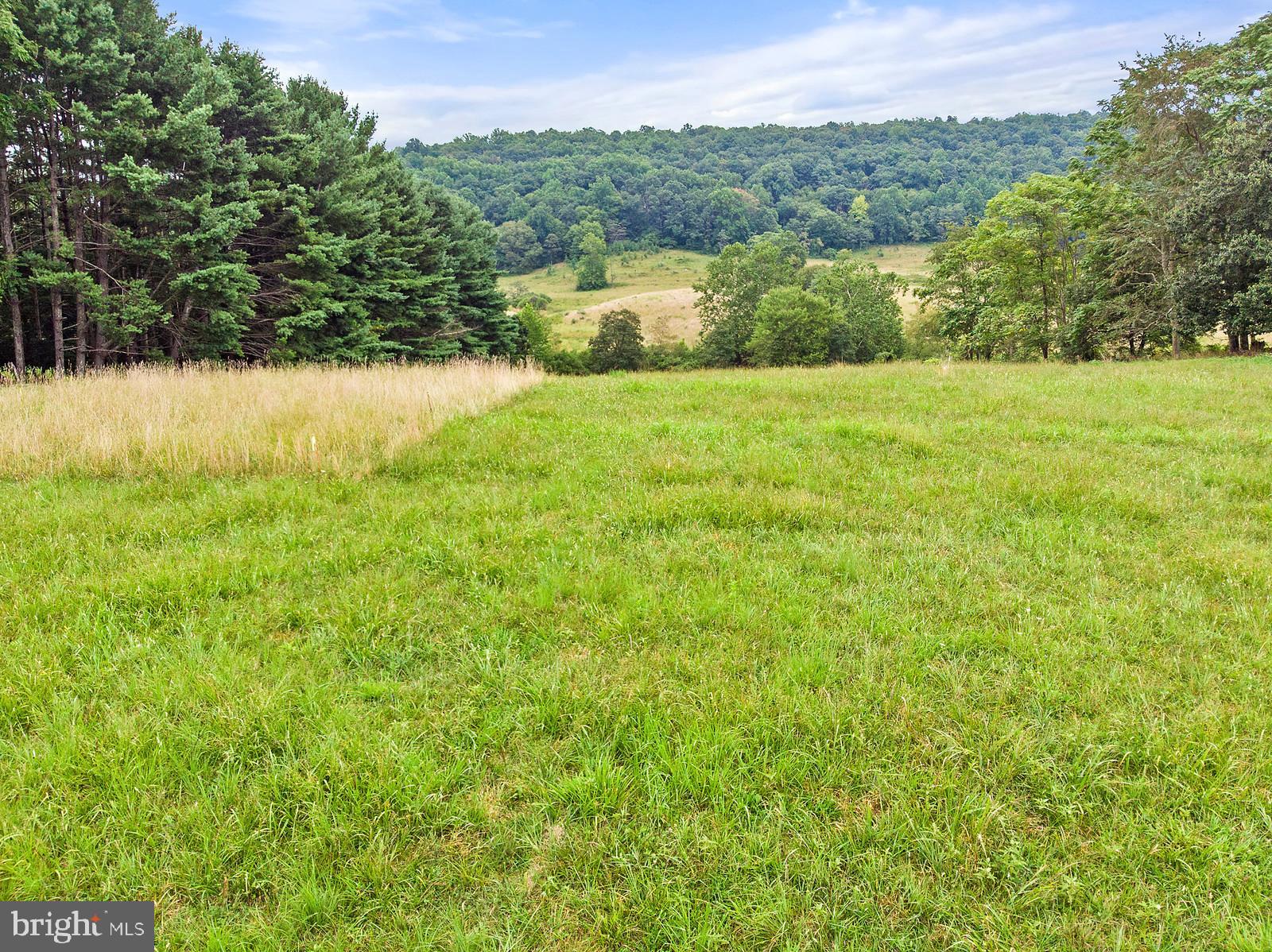 Fodderstack Washington, VA 22747 - Photo 11 of 12