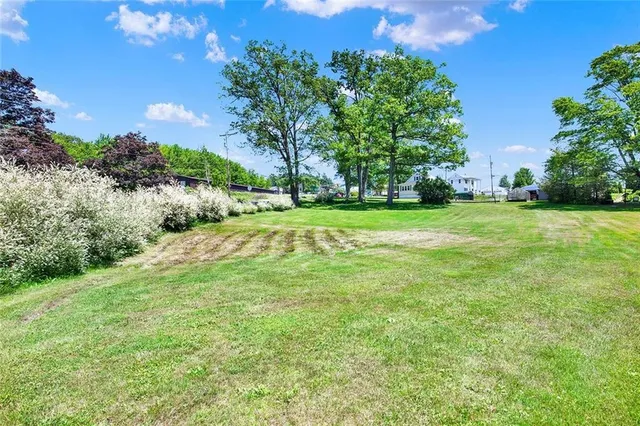 a big yard with lots of green space and palm trees