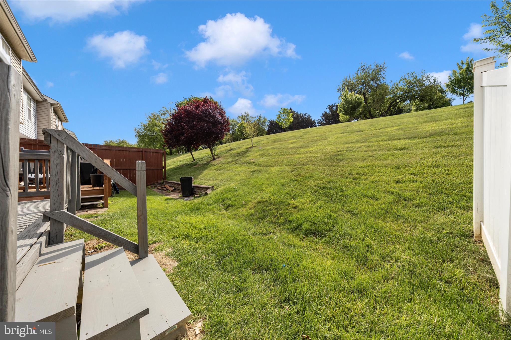 105 Sentry Ridge Smithsburg, MD 21783 - Photo 53 of 62 Backyard
