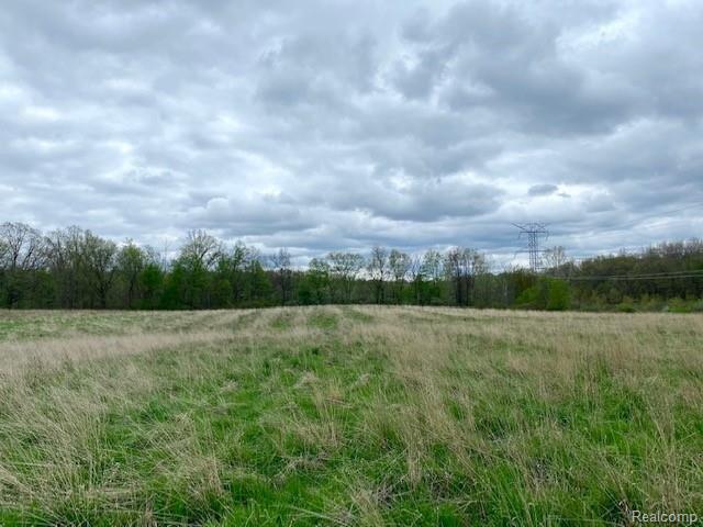 4789 Brocker Road Goodrich, MI 48438 - Photo 14 of 14