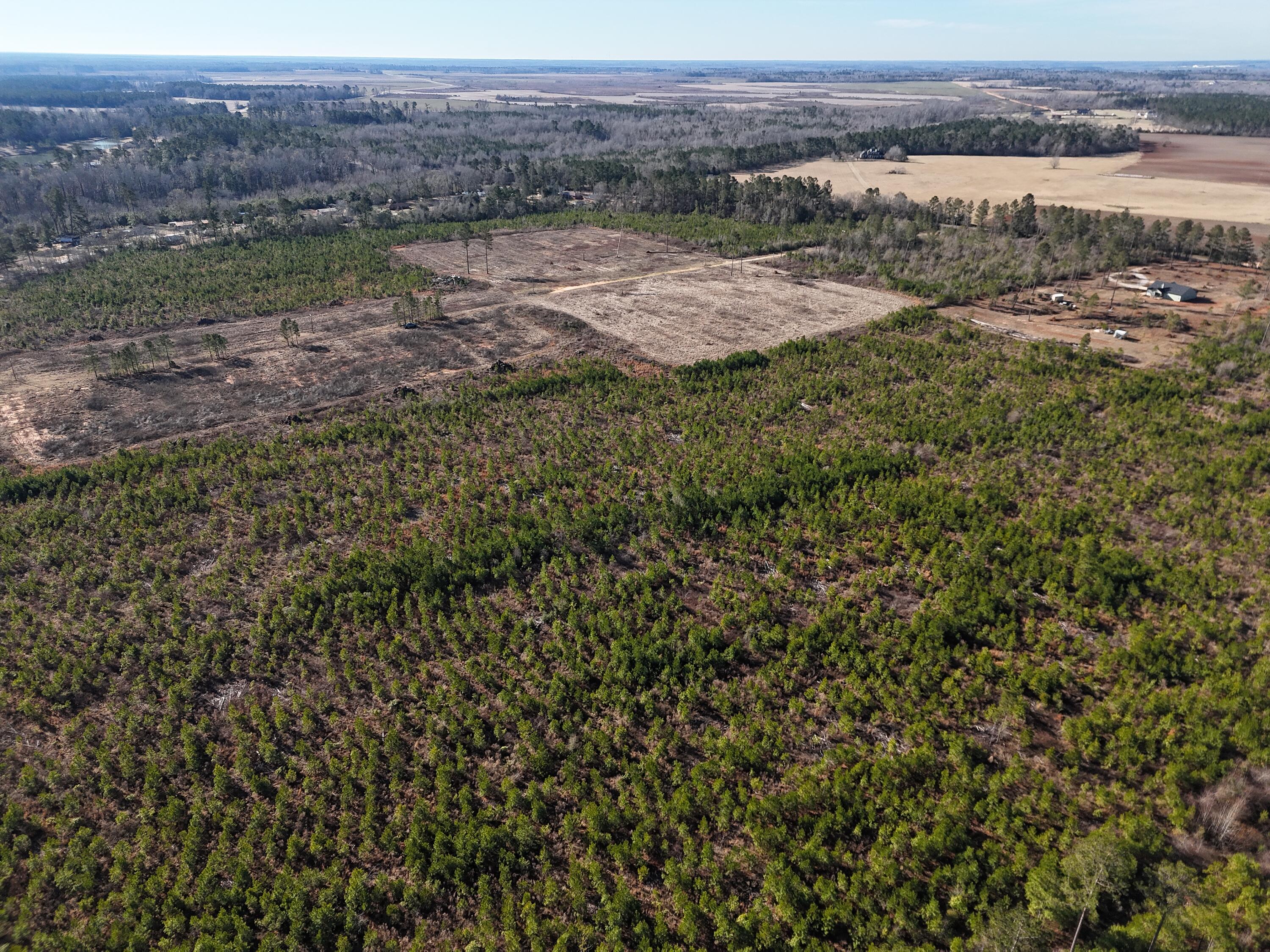 0 Spread Oak Road Keysville, GA 30816 - Photo 7 of 11 DJI_20250114232807_0017_D