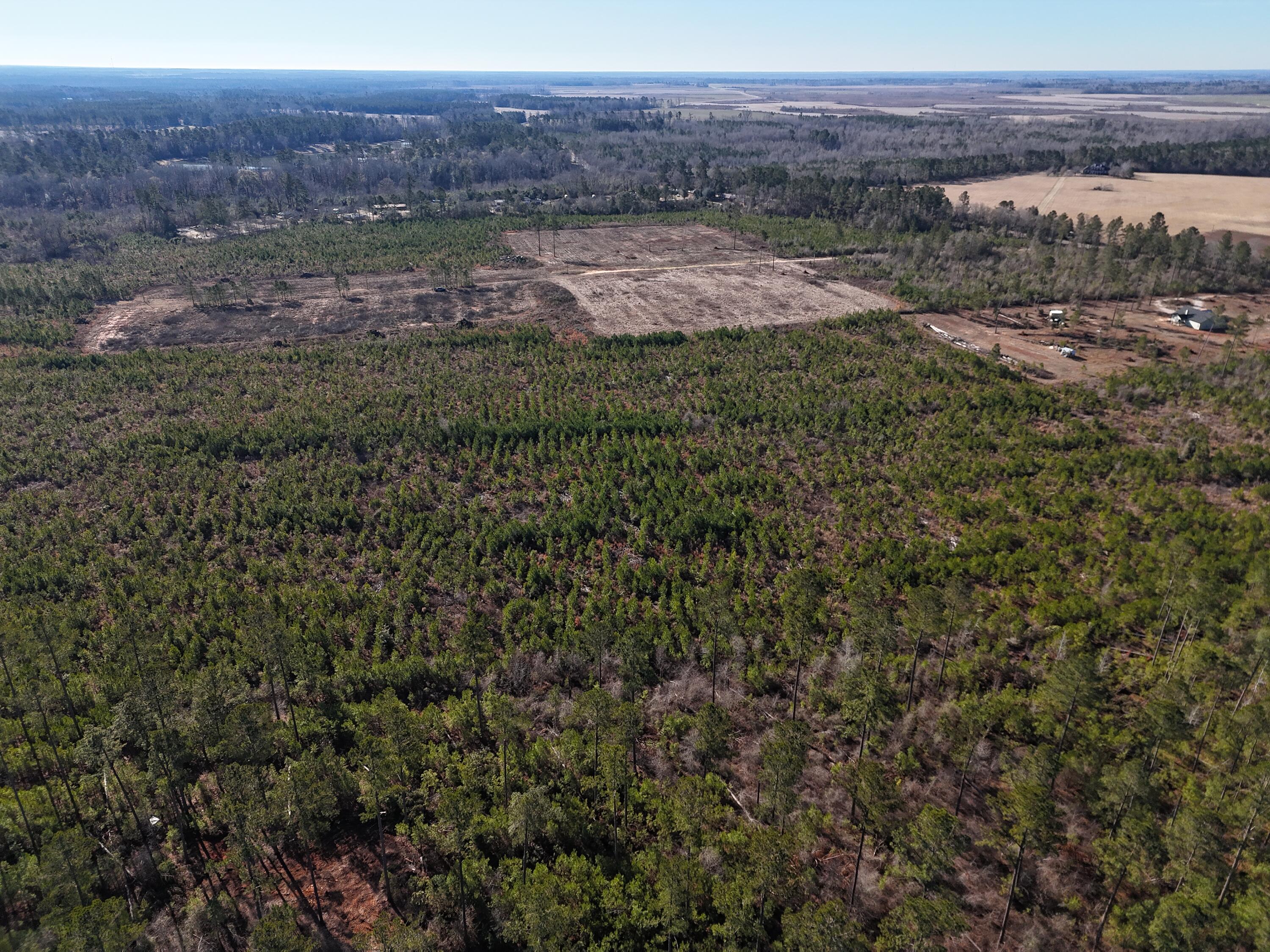 0 Spread Oak Road Keysville, GA 30816 - Photo 8 of 11 DJI_20250114232833_0018_D