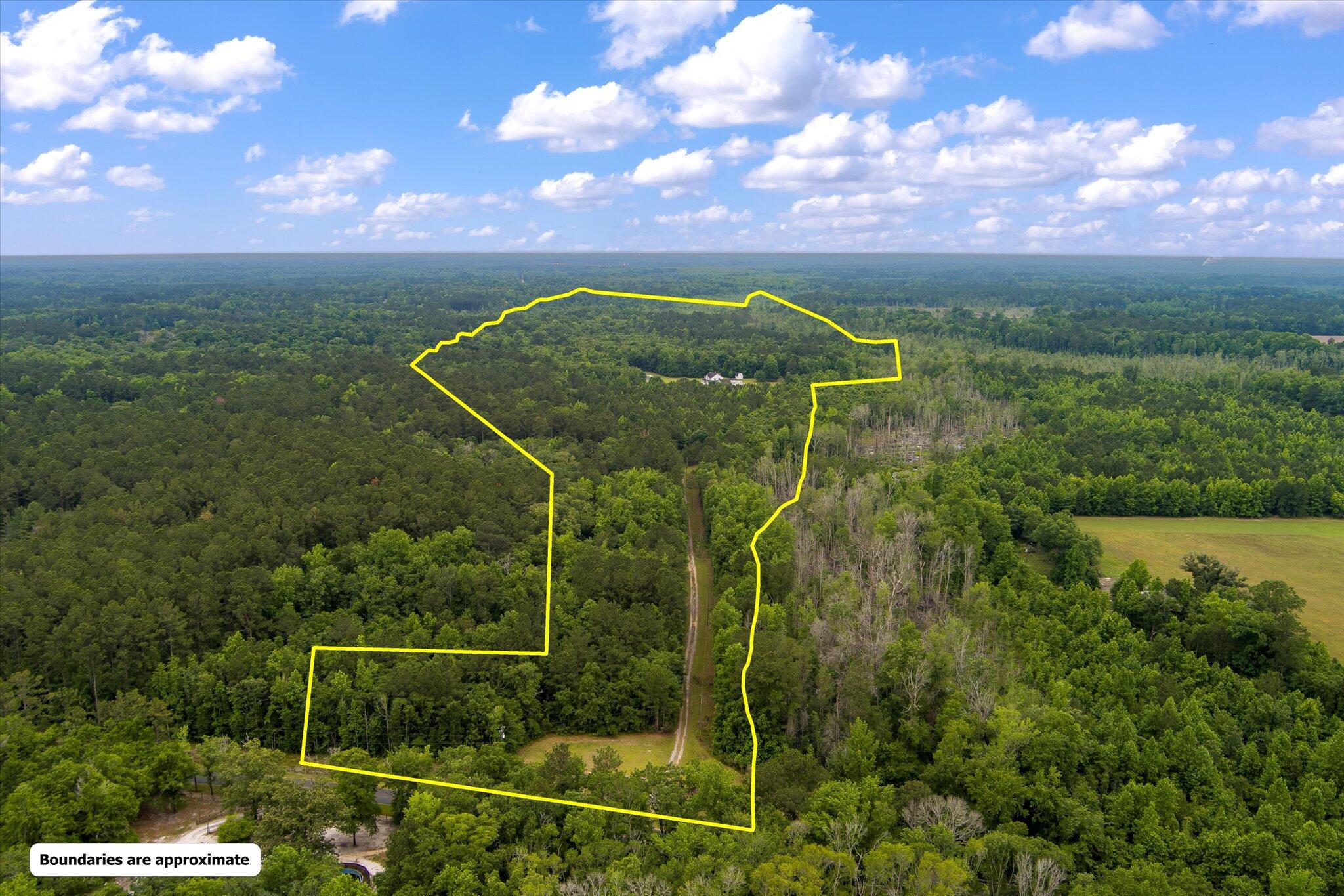 3015 Burlington Road Walterboro, SC 29488 - Photo 4 of 98 05-3015 Burlington_d-22