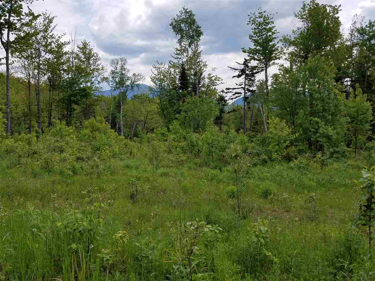 Lot 14.1 Upper Valley Road Franconia, NH 03580 - Photo 1 of 33