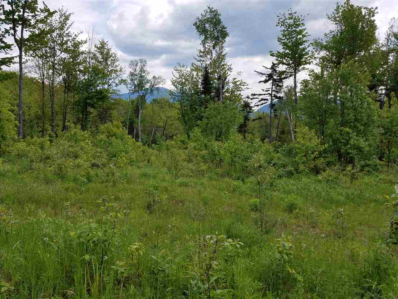 Lot 14.1 Upper Valley Road Franconia, NH 03580 - Photo 2 of 33