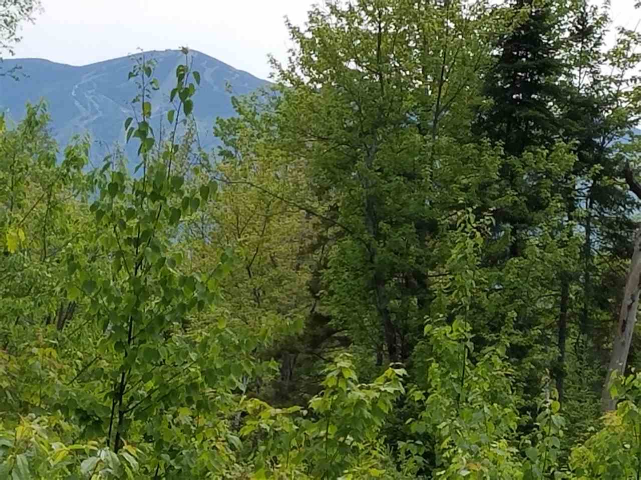Lot 14.1 Upper Valley Road Franconia, NH 03580 - Photo 11 of 33