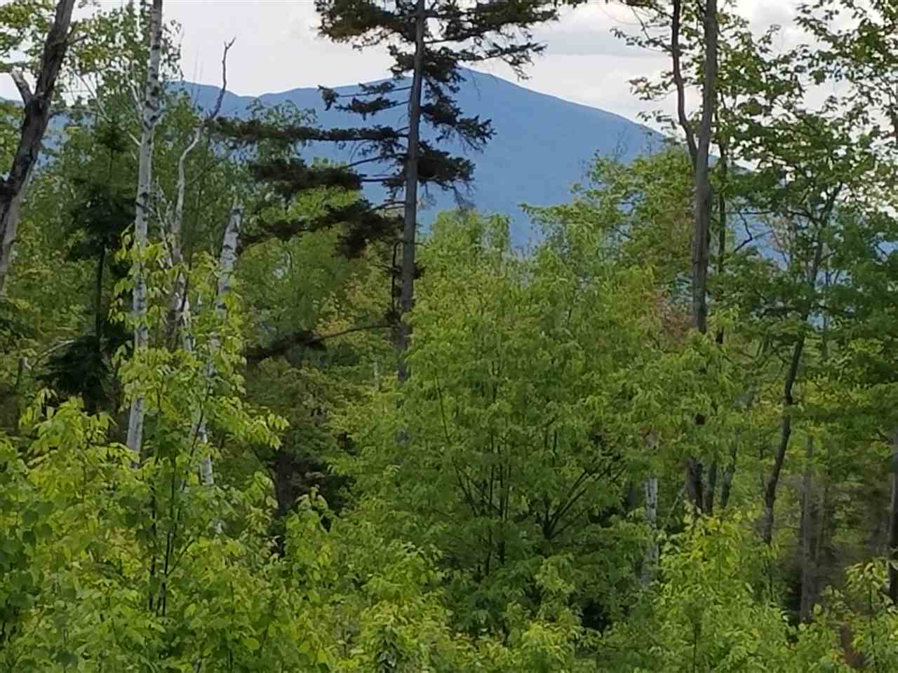 Lot 14.1 Upper Valley Road Franconia, NH 03580 - Photo 12 of 33