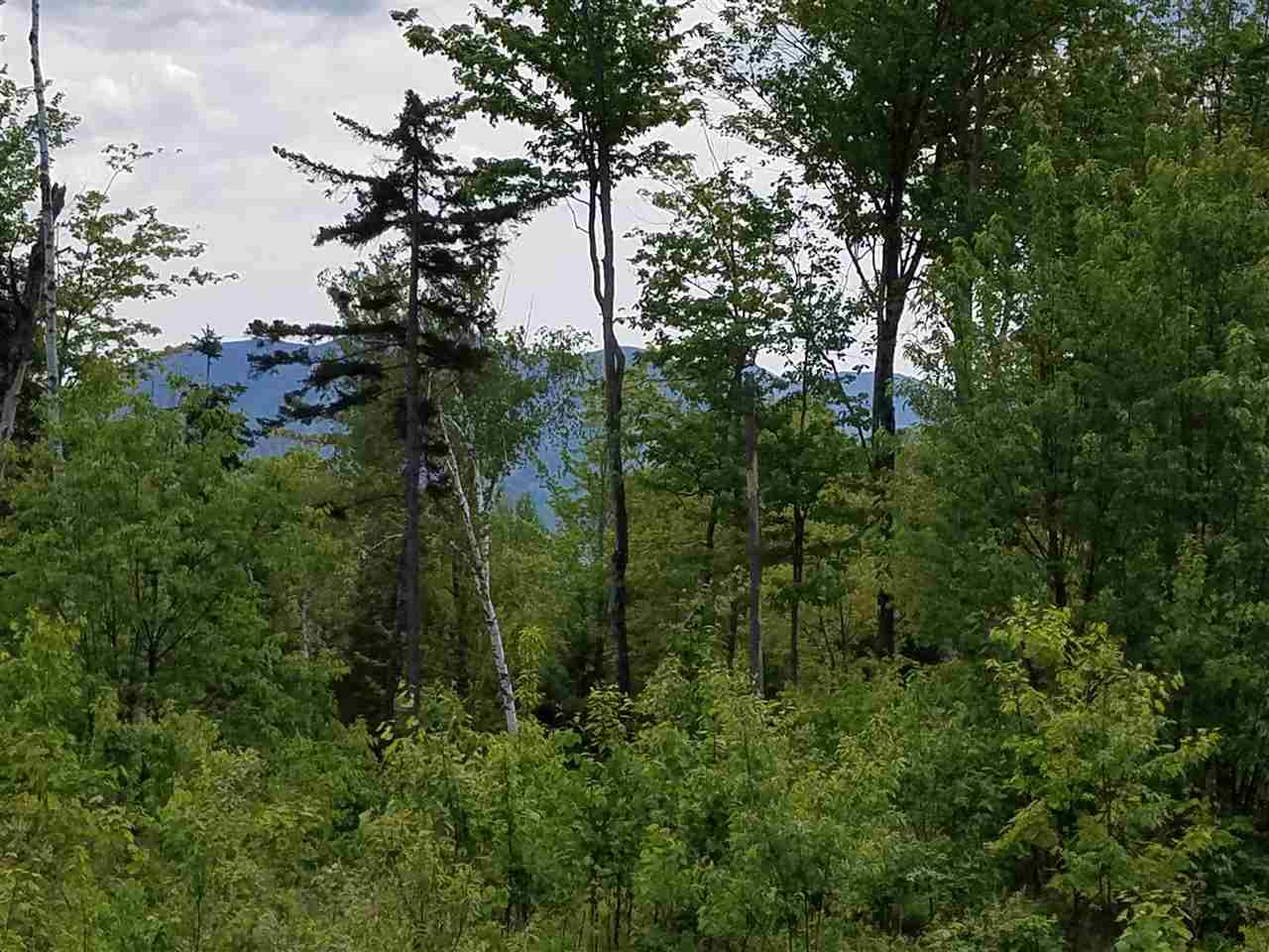 Lot 14.1 Upper Valley Road Franconia, NH 03580 - Photo 13 of 33