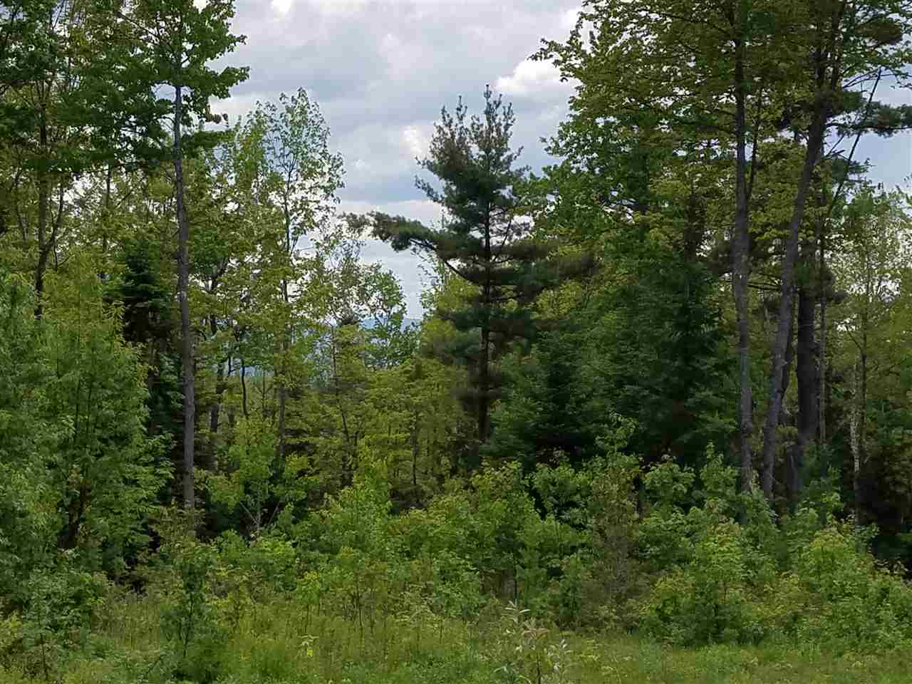 Lot 14.1 Upper Valley Road Franconia, NH 03580 - Photo 14 of 33