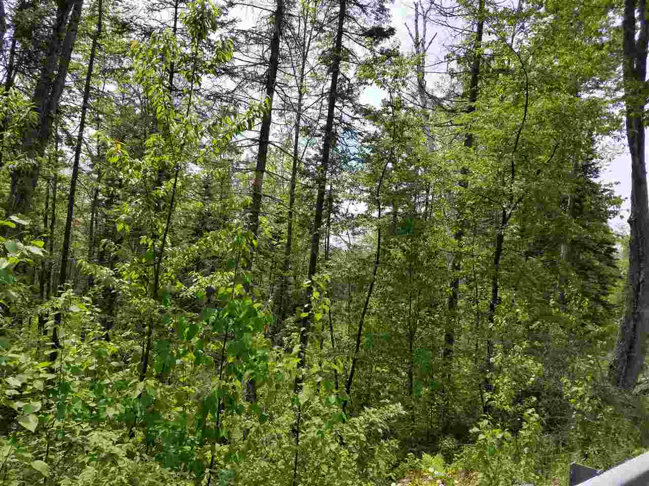 Lot 14.1 Upper Valley Road Franconia, NH 03580 - Photo 15 of 33